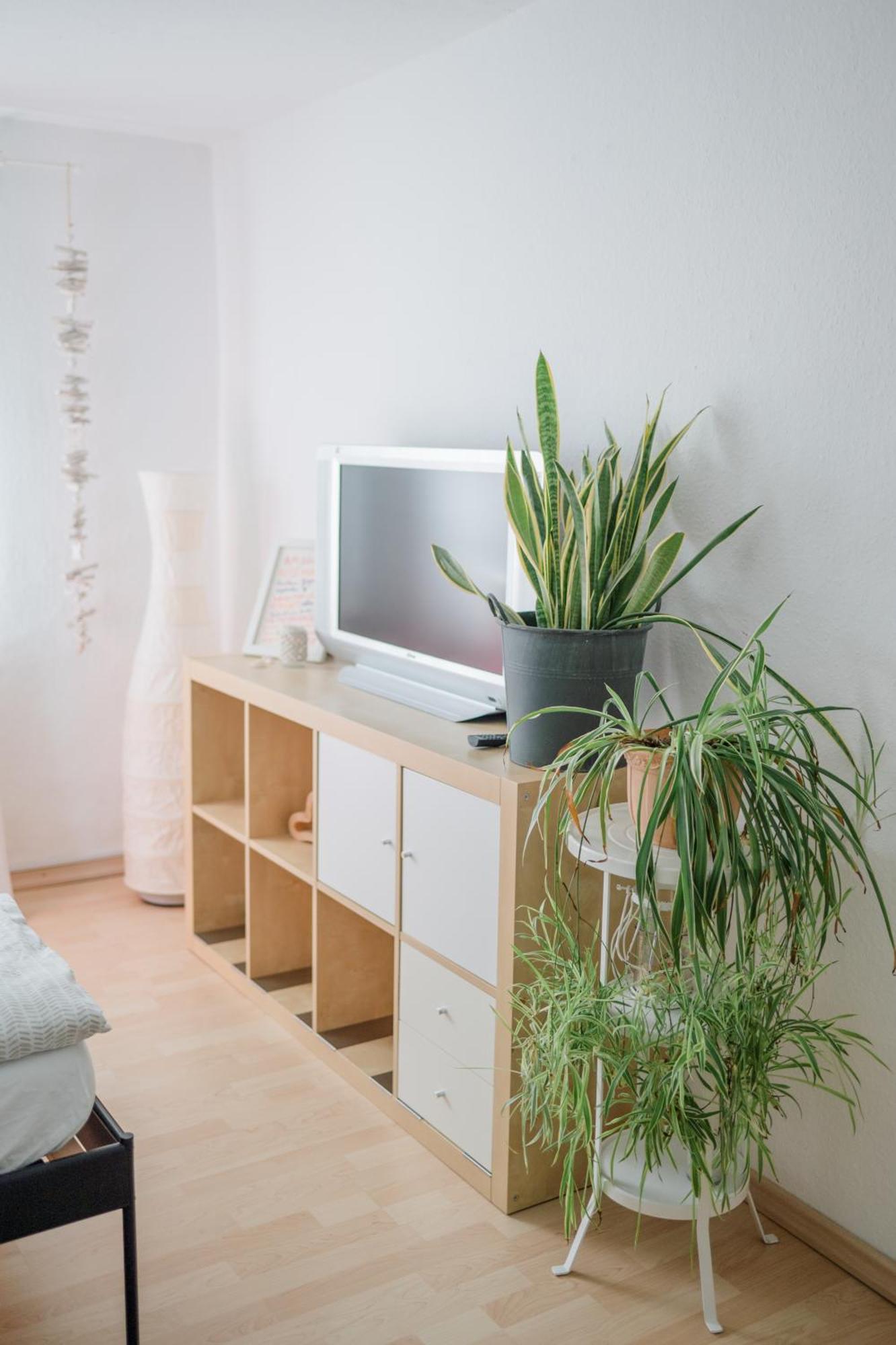 Buchlindenweg - Zimmer & Ferienwohnung Breitscheid  Екстериор снимка